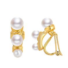 PRICES MAY VARY. Pearl Clip on Earrings: The earring height is 1.9 cm/7.5". Unique climbing design stud earrings with white pearls. Wedding Pearl Earrings: Wear for everyday and any different occasions, pair with any of Your outfit ,The earrings are light-weight to wear very comfortably. Daily Gold Clip Earrings: Wear for everyday and any different occasions, pair with any of Your outfit. Non Piercing Stud Earrings: This statement pearl earrings suitable for any woman who does not have her ears Three Pearl Earrings, Statement Pearl Earrings, Climbing Design, Wedding Pearl Earrings, Piercing Stud, Pearl Statement Earrings, Pearls Wedding, Pearl Earrings Wedding, Gold Clips