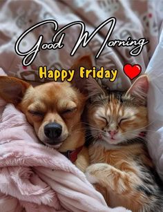 a dog and cat sleeping together on a bed with the caption good morning happy friday