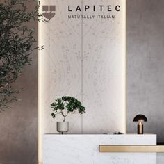 a plant is sitting on the counter in front of a sign that says lapitec naturally italian