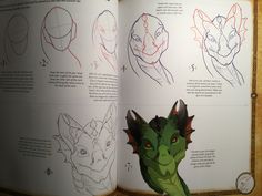 an open book with drawings of different types of animals and their faces on it's pages