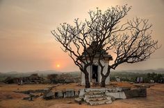 a tree with no leaves stands in front of a small building on the side of a hill