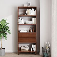 a bookshelf in the corner of a room next to a potted plant