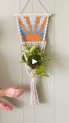 a plant hanging on the wall next to a person's hand