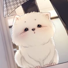 a white fluffy cat sitting on top of a table next to an umbrella and window