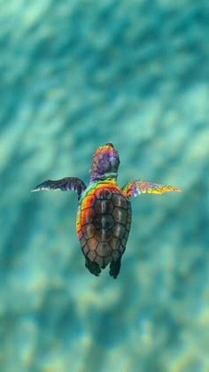 a colorful turtle swimming in the ocean with it's wings spread out and its head above water