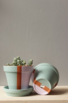 a small potted plant sitting on top of a wooden table next to a saucer