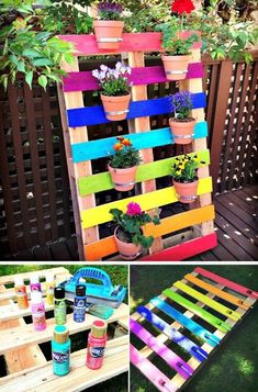 colorful pallet garden with flowers and plants