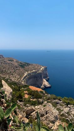 an ocean view from the top of a hill with plants growing in front of it