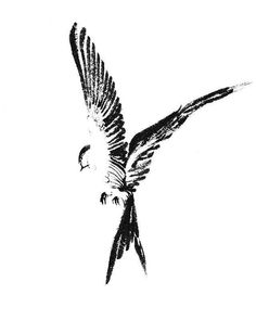 a black and white drawing of a bird flying