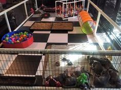 an indoor play area with lots of balls and toys on the floor at night time