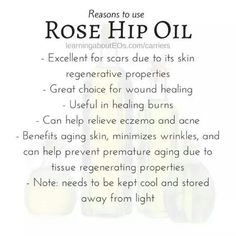 Rose Hip Rose Hip Seed Oil Benefits, Rose Hip Oil Benefits, Rose Oil Benefits, Rosehip Recipes, Rosehip Oil Benefits, Know Better Do Better, How To Heal Burns, Rose Hip Oil, Organic Skin Care Recipes