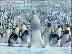 penguins are standing in the snow with their arms up and one penguin is raising his hands