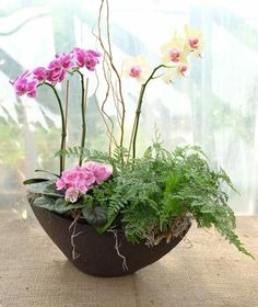 some pink and white flowers are in a black bowl on a table next to a window