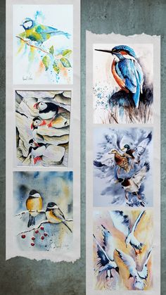 four watercolor paintings of birds on paper