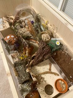 an open drawer filled with plants and dirt