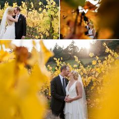 the bride and groom are posing for pictures in front of yellow leaves at their wedding