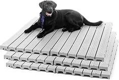 a black dog laying on top of two pieces of wooden flooring next to each other