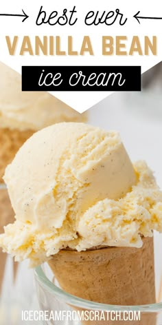 A sugar cone holding a scoop of vanilla bean ice cream. French Vanilla Ice Cream, Frozen Deserts, Ice Cream Recipes Machine, Custard Ice Cream, Bean Ice Cream, Vanilla Ice Cream Recipe, Ice Cream Maker Recipes, Ice Cream Mixture, Homemade Vanilla Ice Cream