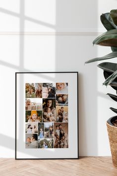 a white framed photo hanging on a wall next to a potted plant