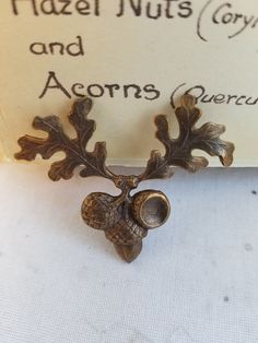 Just in time for fall acorn and oak leaf findings in two sizes.  Smaller (darker) 25mm-1 Inch, 4 per order or larger ( bright gold) 50mm-2 inch, 2 per order Both have nice vintage weight. A popular motif in art for different cultures.  The acorn is a symbol of a new beginning and is used as an ornament on furniture, finials at Westminster Abby and jewelry throughout history. Back to my shop http://www.etsy.com/shop/whoknowswhat Fall Acorns, Acorn And Oak, Different Cultures, Merry Christmas To You, A New Beginning, Oak Leaf, Floral Wire, New Beginning, Bright Gold