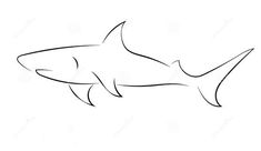 the outline of a shark in black and white stock photo image 548974