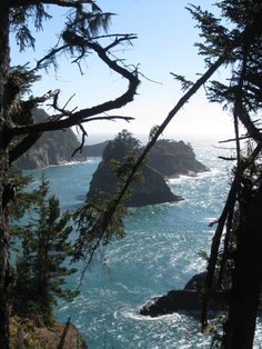 the water is blue and choppy with trees on both sides in the foreground