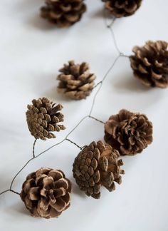 some pine cones are hanging from a twig on a white surface with string attached to them