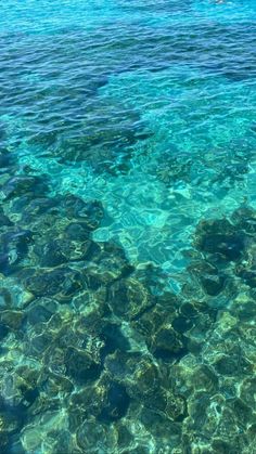 the water is crystal clear and blue