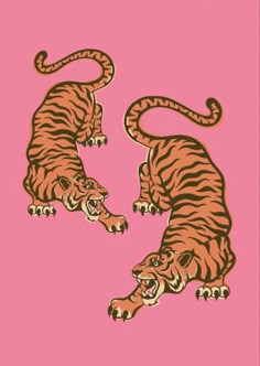 two tigers playing with each other on a pink background