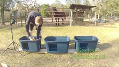 a man is bending over to put something in the bins on the ground next to two horses