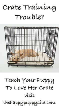 a dog in a cage with the text how to crate training trouble? teach your puppy to love her crate visit