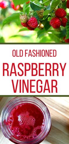 an old fashioned raspberry vinegar recipe in a jar