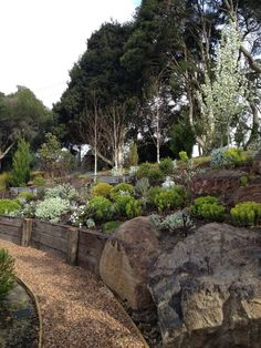 a garden with rocks and plants on the side of it in front of some trees