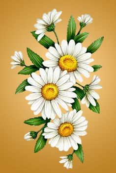 some white daisies with green leaves on a brown background