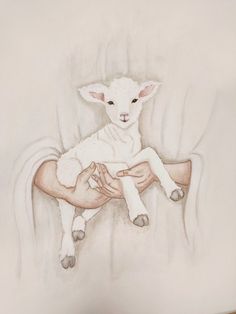 a drawing of a lamb being held by someone