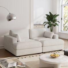 a living room filled with furniture and a potted plant in the middle of the room