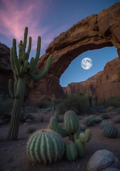 a full moon is seen in the sky over some cactus plants and rocks at night