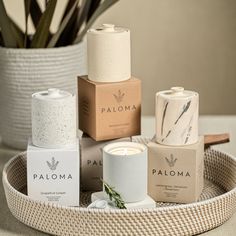 several different types of candles and boxes on a tray next to a potted plant