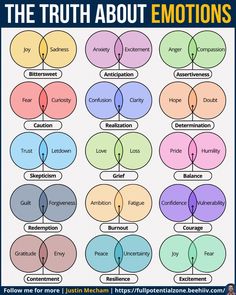 Emotions are complex, yet they shape our daily lives.  Understanding them is the first step to mastering them.  Let each emotion guide you, not control you. Anger, Let It Be