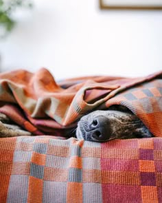 a dog is sleeping under a blanket on the bed with it's eyes closed