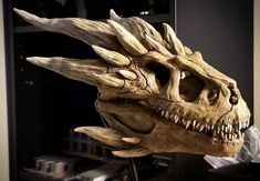 a dinosaur skull with large teeth and sharp fangs