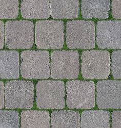 a brick sidewalk with grass growing on it