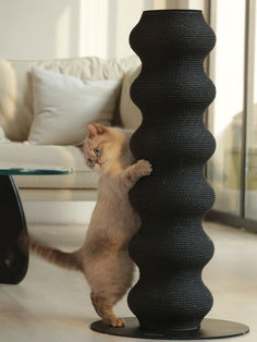 Indulge your feline friend with the Colossal Curvy Clawer - a stunning cat scratching post that blends form and function. Its elegant curves and stylish design make it a beautiful addition to any home. Cat Scratching Post Living Room, Home Decor For Cats, Aesthetic Cat Scratcher, Diy Cat Scratcher Post, Diy Cat Post, Diy Scratching Post For Cats, Cat Scratching Wall, Stylish Cat Furniture, Hammock For Cats