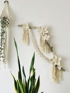 some plants are sitting next to each other on the wall with tassels hanging from them