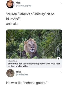 an animal is shown in the middle of two tweets, one with a lion on it's face