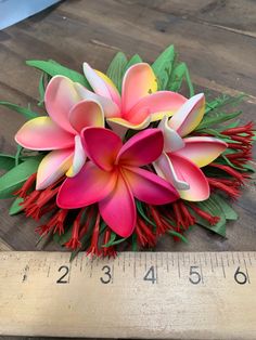 "Measures about 7\" across... these are BEAUTIFUL, showstopper hair clips! The PLUMERIAS LOOK SO REAL ❤️❤️❤️ I try my best to keep these in stock and ready to ship, but there could be a wait time for me to make more. If you need your clip by a certain date, please convo me and I can let you know if it will be possible without a rush fee. californiahulacenter.com" Plumeria Crown, Hawaiian Flower Arrangements, Hibiscus Garden, Beach Room Decor, Fairy Garden Birthday Party, Dinner Party Decorations, White Gardenia