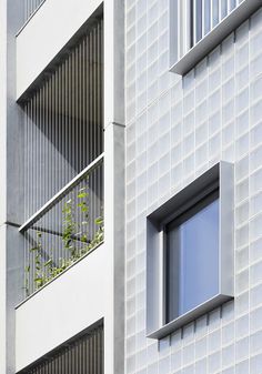 an apartment building with two balconies and a tree in the window