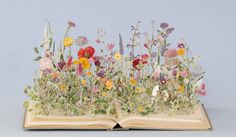 an open book with flowers growing out of it