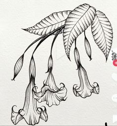 an ink drawing of flowers and leaves