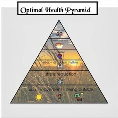 how to optimize your circadian rhythm to live an optimal life 💯🙌🏽🙏🏼 our biological clock controls the circadian rhythm and the related processes in the human body, which refers to the physical, mental and behavioral changes. following these tips can lead to a better understanding of how you can optimize your circadian rhythm and live life effectively to the fullest #fitness #gym #workout #fitnessmotivation #motivation #fit #bodybuilding #love #training #health #lifestyle Biological Clock, Fitness Gym Workout, The Human Body, Health Lifestyle, Physical Health, Fitness Gym, Gym Workout, Pyramid